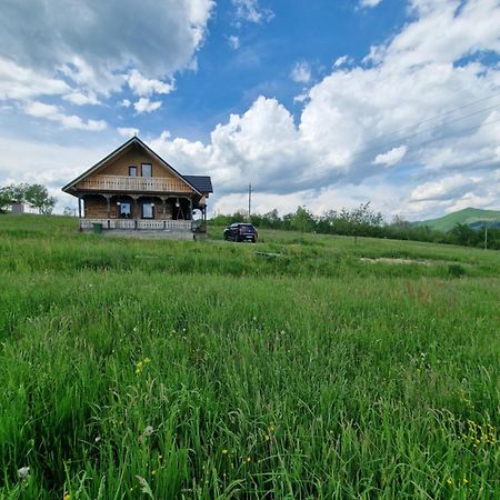 Вілла Casa Bunicilor Din Oncesti Екстер'єр фото