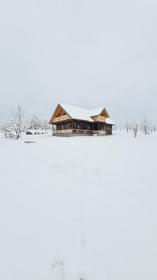 Вілла Casa Bunicilor Din Oncesti Екстер'єр фото