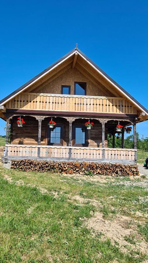 Вілла Casa Bunicilor Din Oncesti Екстер'єр фото