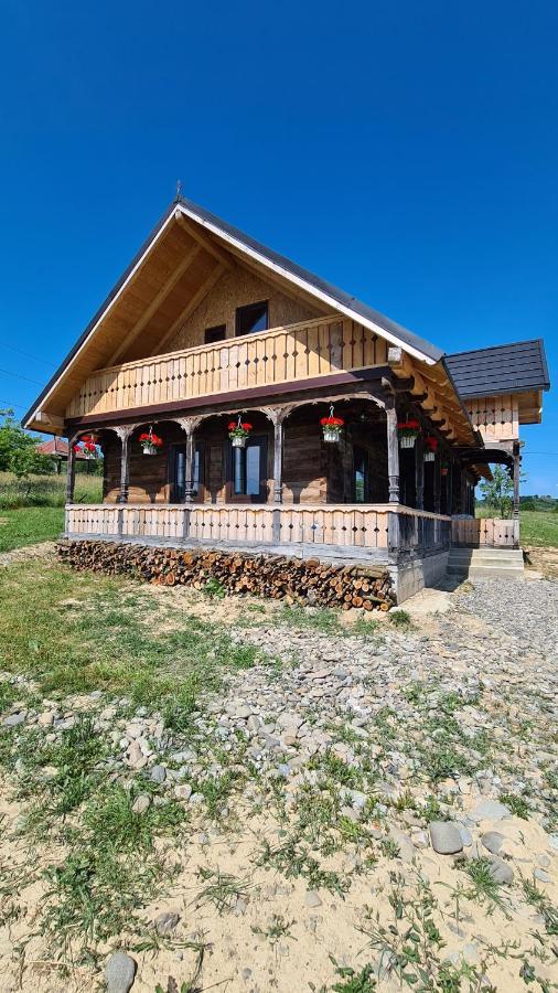 Вілла Casa Bunicilor Din Oncesti Екстер'єр фото